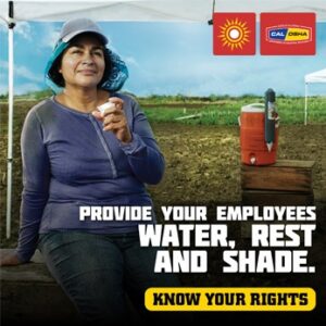 Farmworker resting under shade with water cooler